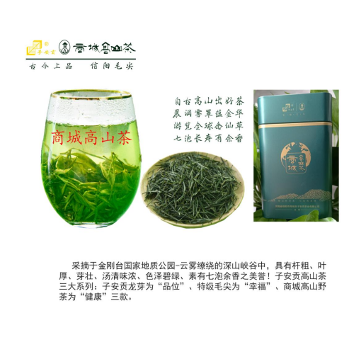 商城 子安贡·商城高山茶
