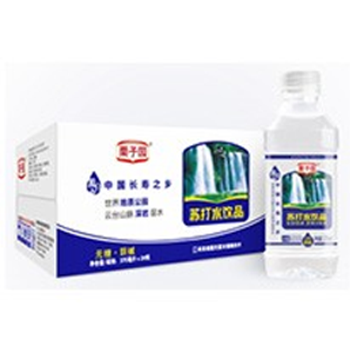 栗子园 经典苏打水