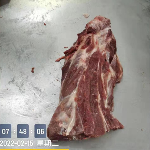 盛源 胫骨