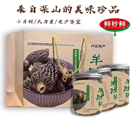 鲜秒鲜 干制羊肚菌礼盒