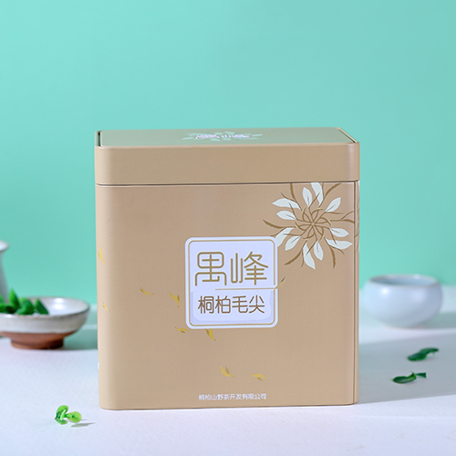 桐柏 毛尖